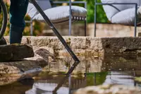 New shoot 2025 
Driehof Tecklenburg, pond and water garden