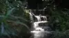 Stills from landscaper testimonial videos from Australia, showing waterfall feature at outside location