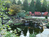739238929
Water, Animals In The Wild, No People, Swimming, Koi Carp, Animal Themes, Outdoors, Fish, High Angle View, Day, Zoology, Pond, Four Animals, Orange Color, Animal Wildlife, Horizontal Image