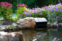 Taking Koi Pond Building into the Future