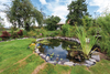 Beautiful designed garden fish pond with water-lily in a well cared backyard gardening background
allotment, aquatic, artificial, autumn, backyard, basin, cottage, cottage garden, country, country house style, cultivated, decoration, decorative, design, estate, exterior, floating, flowers, foliage, garden, gardening, grass, green, horticulture, japanese, landscaping, leaves, lifestyle, lily, metal, natural, nature, old, ornamental, plant, pond, pool, pot, residence, rural, rustic, spring, stone, structure, summer, water, water basin, wood, yard, zen