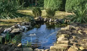 small pond on a summer day in the garden
small pond in the garden
pool, garden, park, pond, summer, day, recreation, water, plants, landscape, design