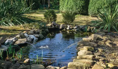 Beautiful small garden pond with a frog-shaped fountain and stone shores in spring. Selective focus. Nature concept for design.
pond, garden, background, water, blue, fountain, garden pond, stone, flower, nature, green, pond water, beautiful, aquatic, beauty, blooming, summer, plant, floral, flora, lake, leaves, close-up, natural, relax, surface, botany, nature background, botanical, magic, magical, landscape, outdoor, light, park, landscaping, walkway, sunlight, foliage, peaceful, gardening, mystery, copy space, small, tranquil, water lily, lilies, lotus, zen, aquatic plants