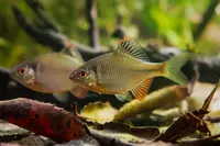 Aquarium water quality blog