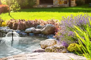 Beautiful backyard landscape design. View of colorful trees and decorative trimmed bushes and rocks
638448072
Beautiful, Travel, Fashion, Tourism, Zen-like, Landscaped, Customized, Grass, Stone Material, Gardening, Meditating, Relaxation, Spirituality, Tranquil Scene, Elegance, Red, Green Color, Colors, Nature, Front View, Lush Foliage, Tree, Bush, Flower, Day, Summer, Lawn, Sky, Pond, Lake, Waterfall, Water, Decoration, Front or Back Yard, House, Home Interior, Factory, Footpath, Formal Garden, Park - Man Made Space, Residential District, Design, Formalwear, Decor