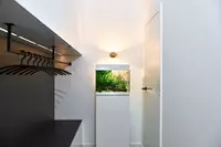 New shoot 2025 
Aquarium, Ankum