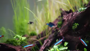 Aquarium product overview stills
Shoot October 2025