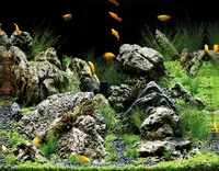 Aquarium water quality blog