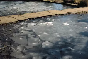 Winter & Your Water Features