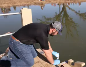 Lake Therapy case study images