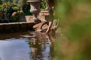 New shoot 2025 
Driehof Tecklenburg, pond and water garden