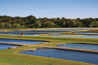 Eagle Bend Fish Hatchery, Clinton, Tennessee
138178632
Blue, Clear Sky, Environment, Environmental Conservation, Fish Farm, Forest, Grass, Hatchery, Horizon, Horizon Over Land, Horizontal, Nobody, Pond, Symmetry, Tennessee, Tree, Woods, facility
