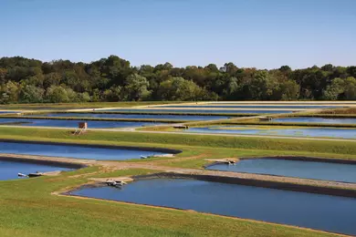 Eagle Bend Fish Hatchery, Clinton, Tennessee
138178632
Blue, Clear Sky, Environment, Environmental Conservation, Fish Farm, Forest, Grass, Hatchery, Horizon, Horizon Over Land, Horizontal, Nobody, Pond, Symmetry, Tennessee, Tree, Woods, facility