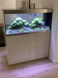 Stills from Oase Global IG account for aquarium landing page