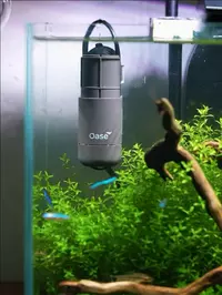 Stills from Oase Global IG account for aquarium landing page
