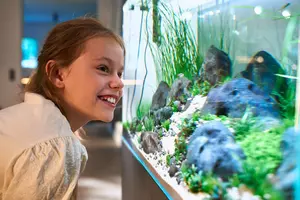 New shoot 2025 
Aquarium, Ankum