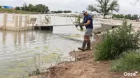 Lake Therapy case study images