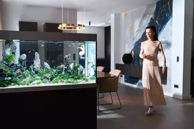 New shoot 2025 
Aquarium, Ankum