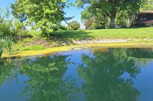 Lake Therapy case study images