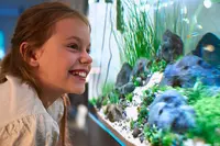 New shoot 2025 
Aquarium, Ankum