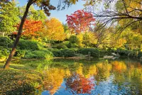 Faster, Easier Fall Cleanups