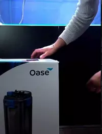 Stills from Oase Global IG account for aquarium landing page