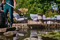 New shoot 2025 
Driehof Tecklenburg, pond and water garden