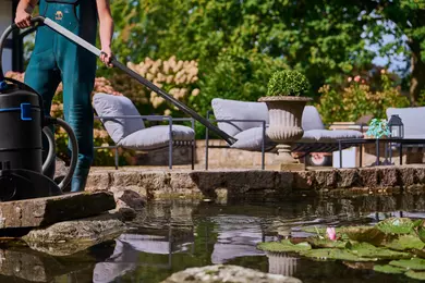 New shoot 2025 
Driehof Tecklenburg, pond and water garden