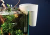 New shoot 2025 .Aquarium, Ankum
People,  Product,  aquarium,  fish,  highline,  home,  scaperline,  Animal,  Aquarium,  Fish,  Furniture,  Sea Life,  Table,  Water
Aquarium Awards for web recognition page