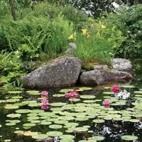 FOT_PRD_ANW_74238-6ftX11ftSmallWaterGardenKit-2_#SALL_#AQU_#V1.tif