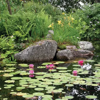 FOT_PRD_ANW_74238-6ftX11ftSmallWaterGardenKit-2_#SALL_#AQU_#V1.tif