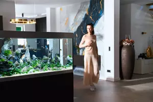 New shoot 2025 
Aquarium, Ankum