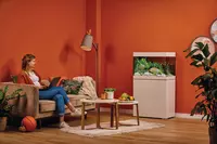 FOT_WWIA_73331-StyleLine-175-white-Set-Schoener-Wohnen-Student-Room-005_#SALL_#AQU_#V1.tif