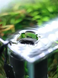 Stills from Oase Global IG account for aquarium landing page