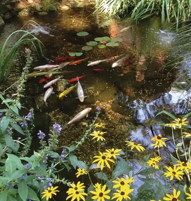 FOT_PRD_ANW_74238-6ftX11ftSmallWaterGardenKit-3_#SALL_#AQU_#V1.tif