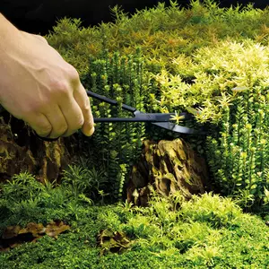 FOT_PRD_ANW_48497-PlantScissors-1_#SALL_#AQU_#V1.jpg