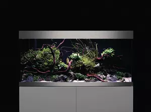 FOT_FAM_ANW_PF-003-500-5000-50150-HighLine-Premium-LED-Planted-Tank-001_#SALL_#AQU_#V1.tif