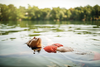 Woman on a holiday relaxing by swimming in lake. Woman in bikini floating in water facing up.
1093914580