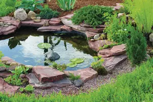 Pond in landscape design.
backyard, beautiful, color, day, decoration, design, flower, formal, garden, gardening, grass, green, home, lake, landscape, landscaping, lush, meditation, natural, nature, park, peace, peaceful, plant, pond, relaxation, rock, sky, summer, tranquil, water, waterfall, yard, zen, stone, zzzaegaaafehfpdbddde