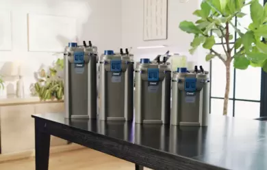 FOT_PRD_ANW_94702-BioMaster2600-1_#SALL_#AQU_#V1.jpg