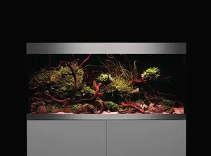 FOT_FAM_ANW_PF-003-500-5000-50150-HighLine-Premium-LED-Amazonas-001_#SALL_#AQU_#V1.tif