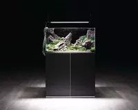 Aquarium water quality blog