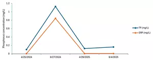 Lake Therapy case study images