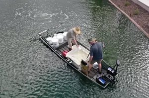 Lake Therapy case study images