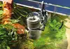 New shoot 2025 .Aquarium, Ankum
People,  Product,  aquarium,  fish,  highline,  home,  scaperline,  Animal,  Aquarium,  Fish,  Furniture,  Sea Life,  Table,  Water
Aquarium Awards for web recognition page