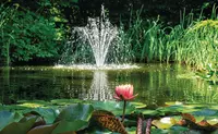 Beautiful garden pond with amazing pink water lilies or lotus flowers Perry's Orange Sunset. Nymphaea are bloom among leaves on blurred fountain background. Selective focus on Nymphaea
water lily, lotus flower, pink, fountain, pond, garden, water, lake, drops, gardening, lotus, pond fountain, lotus water lily, waterlily, pond landscape, flower water lily, nymphaea, pump, reflection, beautiful, nymphaea, flower, lily, bud, beauty background, nature, background, relax, lilies, magic, leaf, outdoor, green, blossom, petal, aquatic plants, tropical, botanical, calm, natural, plant, bloom, blooming, floral, exotic, dew, environment, elegance, float, zen