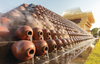 FOT_PRJ_FT01785-Shazhou-Youhuang-Rice-Wine-Exhibition-Centre-Suzhou-China-0004_#SALL_#AQU_#V1.tif