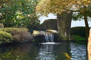 New shoot 2025 
Kölle Zoo, Schwieberdingen, koi pond