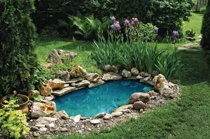 small pond on a summer day in the garden
small pond in the garden
pool, garden, park, pond, summer, day, recreation, water, plants, landscape, design