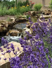 How Often Should You Clean Your FilterFalls